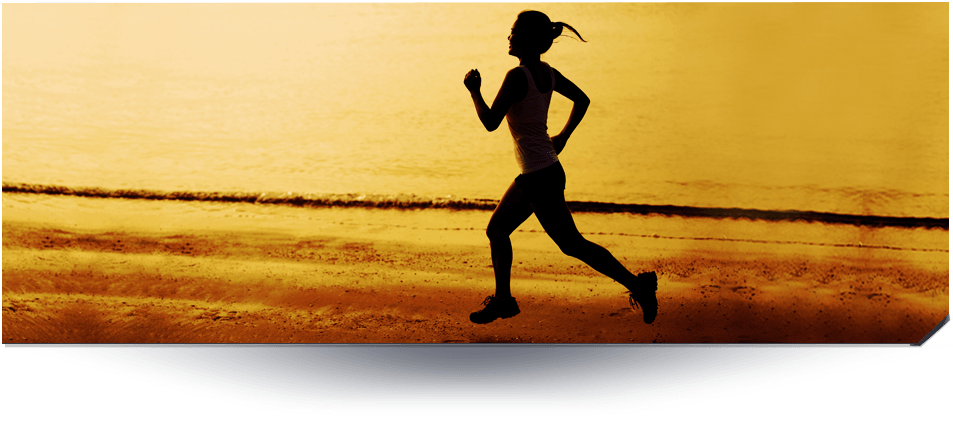 Alunos Fitness